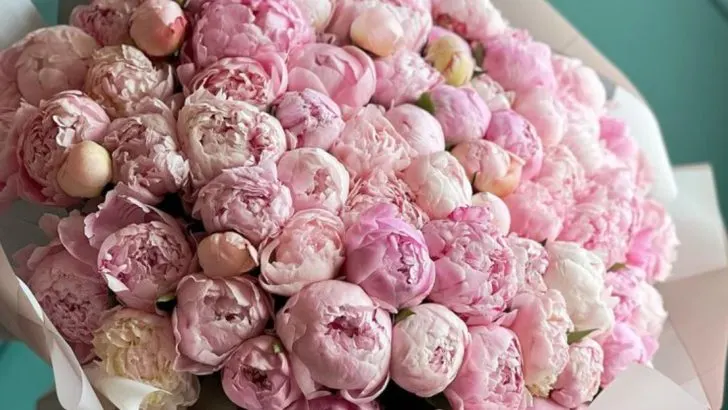 17 Flowers That Have Been to Space