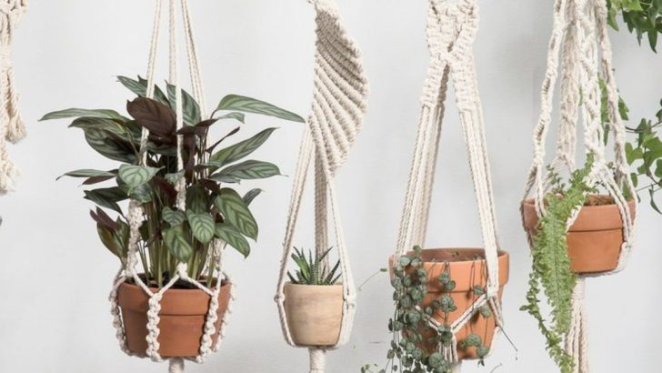 17 Garden Fixes That Cost Under $10 But Look High-End
