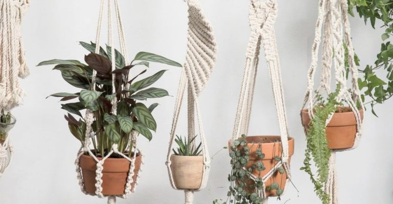 17 Garden Fixes That Cost Under $10 But Look High-End
