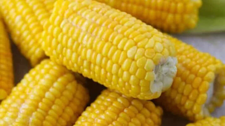 17 Plants That Drain Soil Nutrients Too Quickly