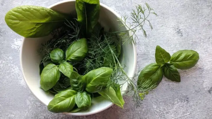 17 Plants That Naturally Repel Mosquitoes Without Chemicals