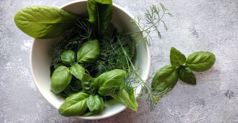 17 Plants That Naturally Repel Mosquitoes Without Chemicals