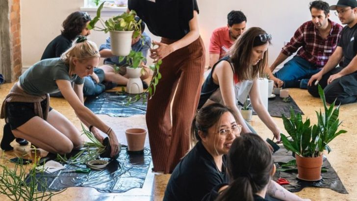 17 Things to Do With Plants When It’s Too Hot to Do Anything Else