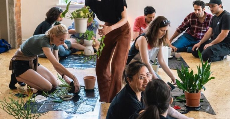 17 Things to Do With Plants When It’s Too Hot to Do Anything Else