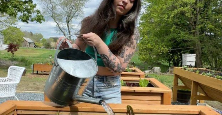 17 Things to Stop Doing in Your Garden Right Now