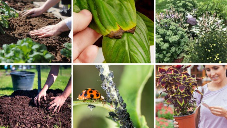 17 Things You Should Never Do When Planting a New Garden, Say Horticulturists