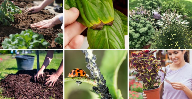 17 Things You Should Never Do When Planting a New Garden, Say Horticulturists