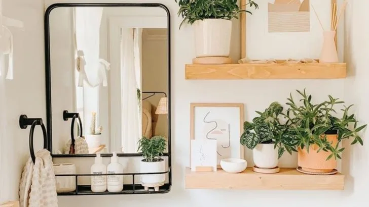 17 Unexpected Spots in Your Home Where Plants Will Actually Thrive