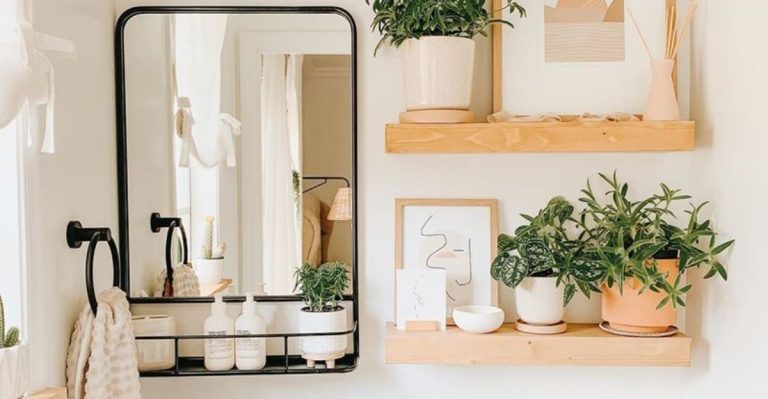 17 Unexpected Spots in Your Home Where Plants Will Actually Thrive