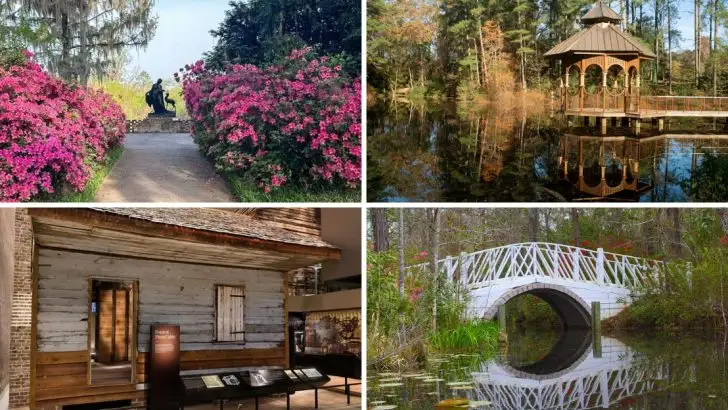 18 Breathtaking Views You’ll Only Find at South Carolina’s Magnolia Plantation