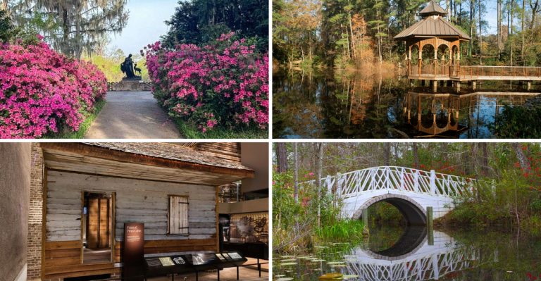 18 Breathtaking Views You’ll Only Find at South Carolina’s Magnolia Plantation