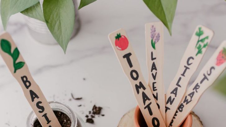16 Everyday Objects That Double as Brilliant Plant Markers
