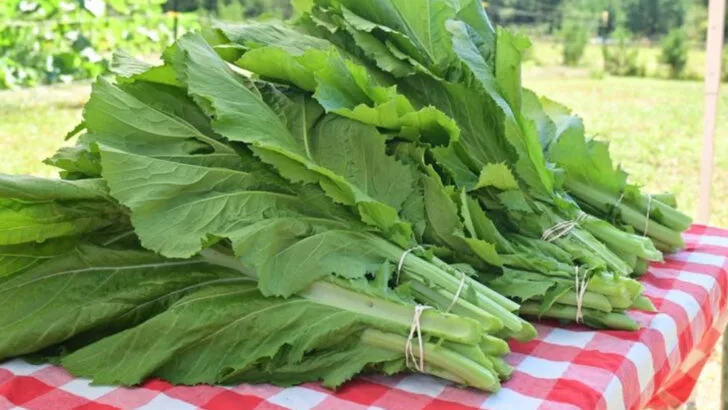 18 Fast-Growing Plants You Can Still Start This Month