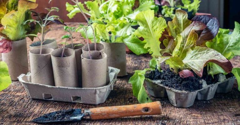 15 Forgotten Household Items That Make Brilliant Plant Tools