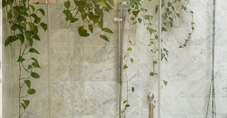18 Houseplants That Actually Prefer to Live in the Bathroom