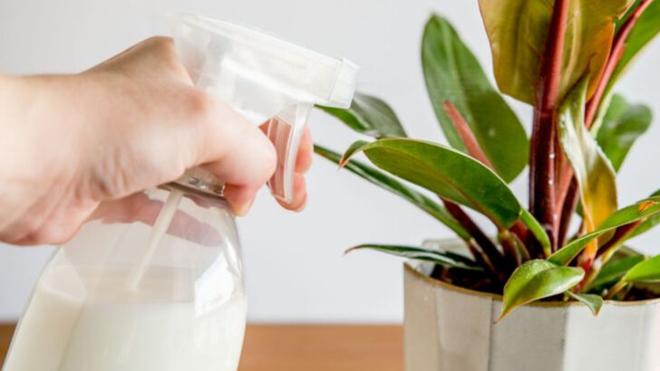 18 Quick Plant Hacks That Save You Time and Keep Your Garden Thriving
