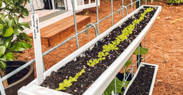 18 Ways to Grow More in a Tiny Garden (Without Buying More Pots)