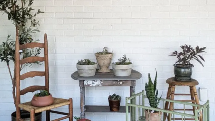 18 Ways to Use Recycled Furniture as Gorgeous Plant Displays