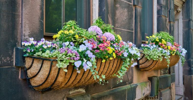 19 Beautiful Ways to Grow Flowers Without Using a Single Pot