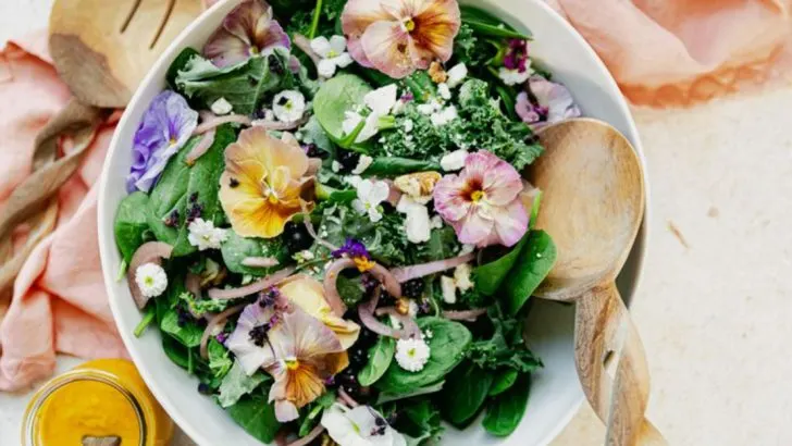 19 Edible Flowers to Plant Now That Will Brighten Your Summer Salads