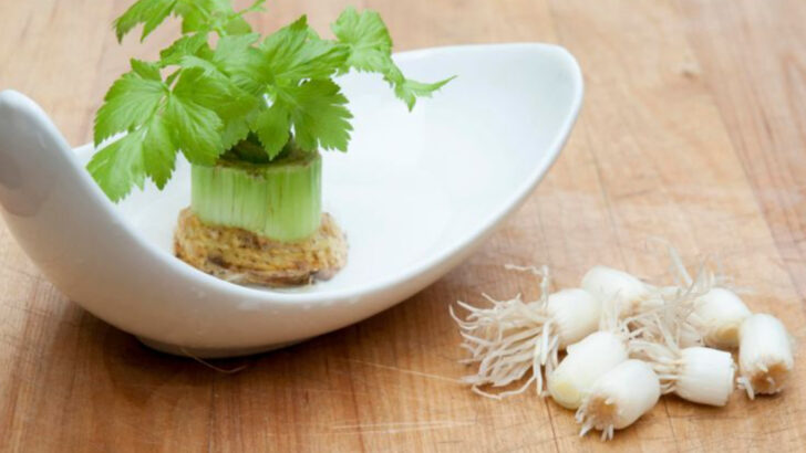 19 Everyday Kitchen Scraps That Turn Into Gorgeous Plants