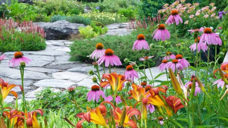 19 Gardening Habits Experts Swear By (But Beginners Rarely Try)