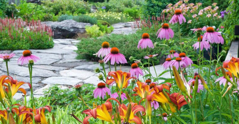 19 Gardening Habits Experts Swear By (But Beginners Rarely Try)