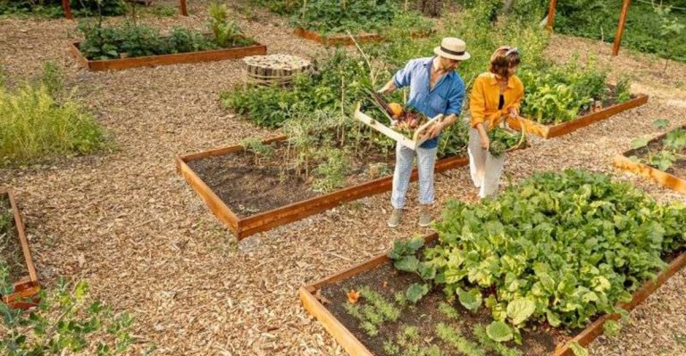 19 Mistakes New Gardeners Make Every Summer (And How to Fix Them)