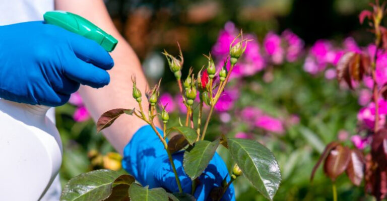 19 Mistakes People Make with Homegrown Veggies (And Easy Ways to Avoid Them)