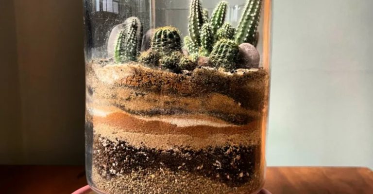19 Simple Plant Projects That Feel Like Self-Care (Because They Are)