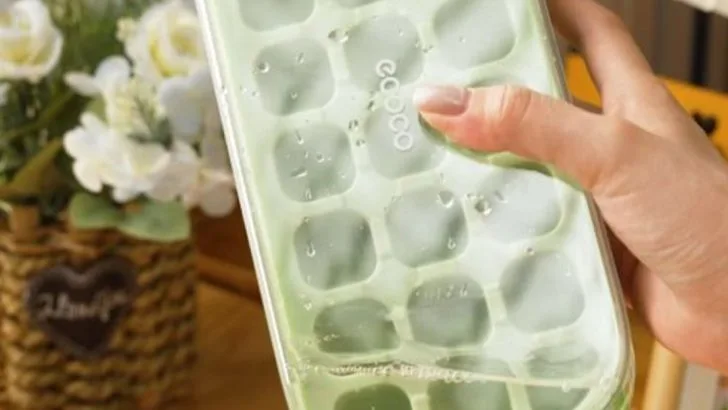 19 Things in Your Junk Drawer That Belong in the Garden