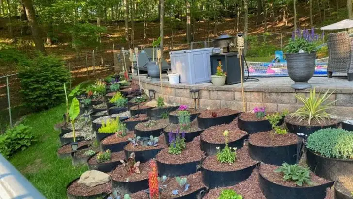 19 Things to Do with Leftover Soil So Nothing Goes to Waste