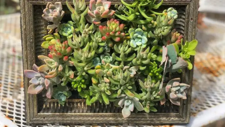 19 Ways to Turn a Blank Wall into a Living Green Feature Wall