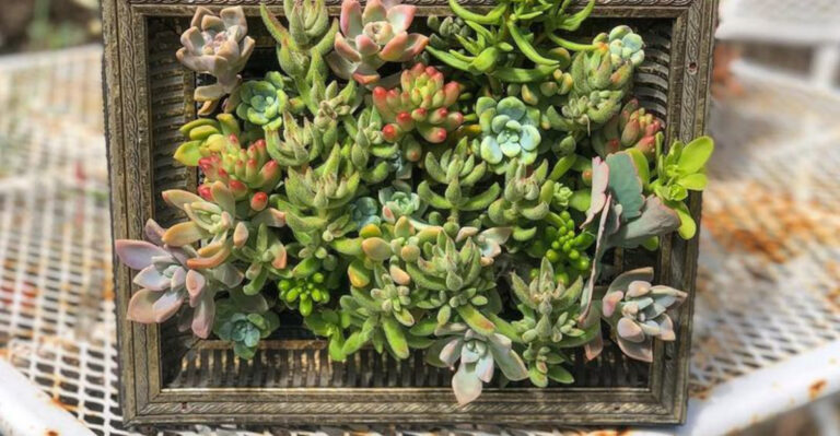 19 Ways to Turn a Blank Wall into a Living Green Feature Wall