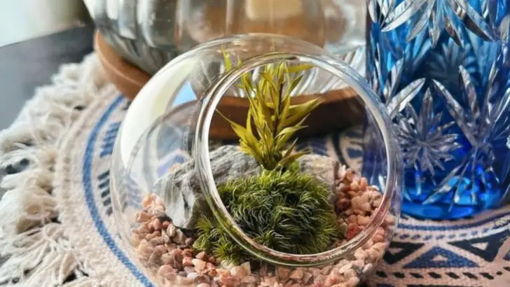 19 Ways to Use Plants Instead of Decorations—And Make Your Home Feel Alive