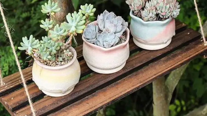 20 Balcony Garden Projects That Look Custom-Built (But Aren’t)