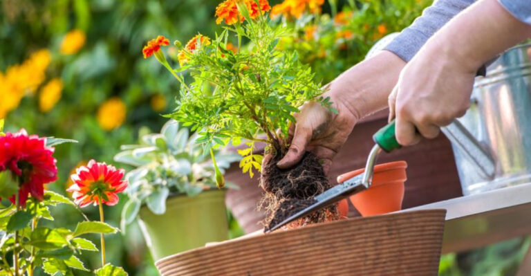 20 Garden Hacks That Look Silly but Actually Save You Hours