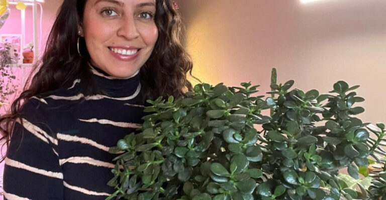 20 Gorgeous Indoor Plants That Clean the Air and Need Zero Attention