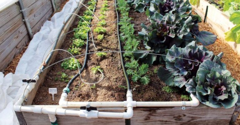 20 Lazy Gardening Hacks for the Hottest Months of the Year