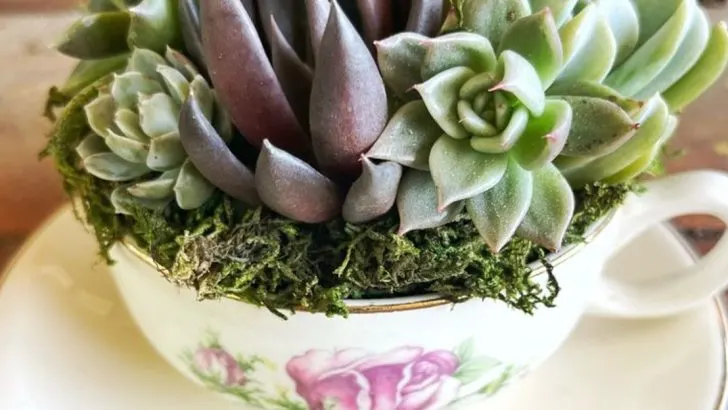 20 Mini Garden Projects That Take Under 30 Minutes