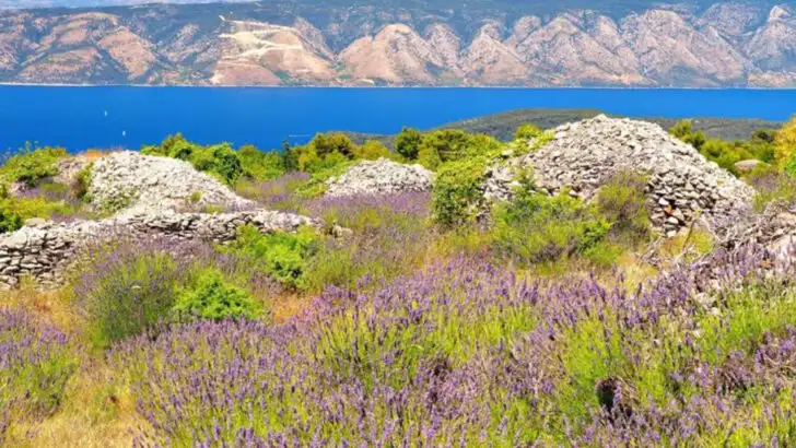 20 Places Where Summer Smells Like Lavender, Mint, and Rosemary