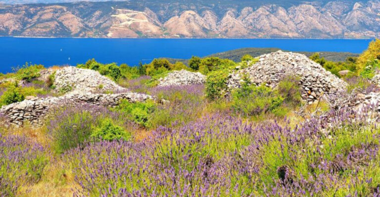 20 Places Where Summer Smells Like Lavender, Mint, and Rosemary