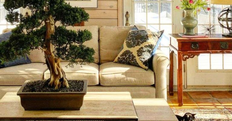 20 Plant-Based Decor Ideas That Make Any Room Feel Alive