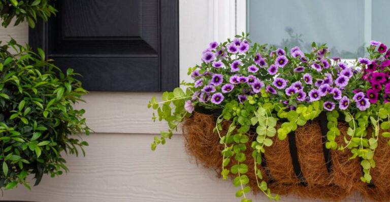20 Plants That Start Small and Take Over in the Best Possible Way