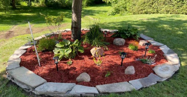 20 Quick Fixes That Make Any Garden Look Professionally Designed