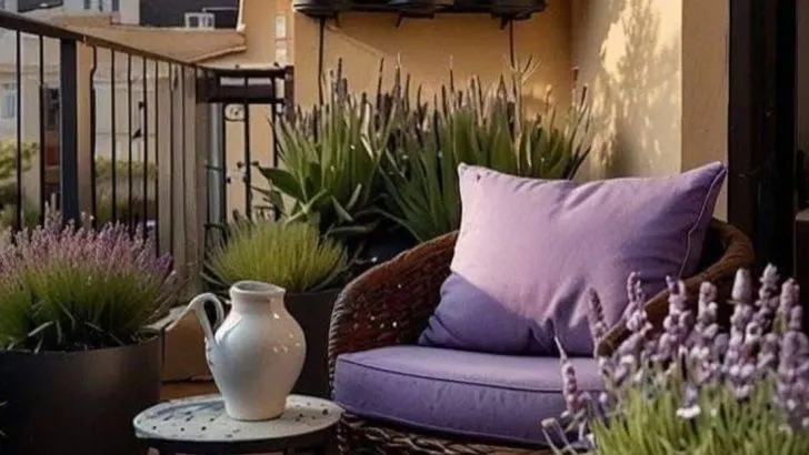 20 Refreshing Plants to Keep Your Balcony Cool and Lush This Summer