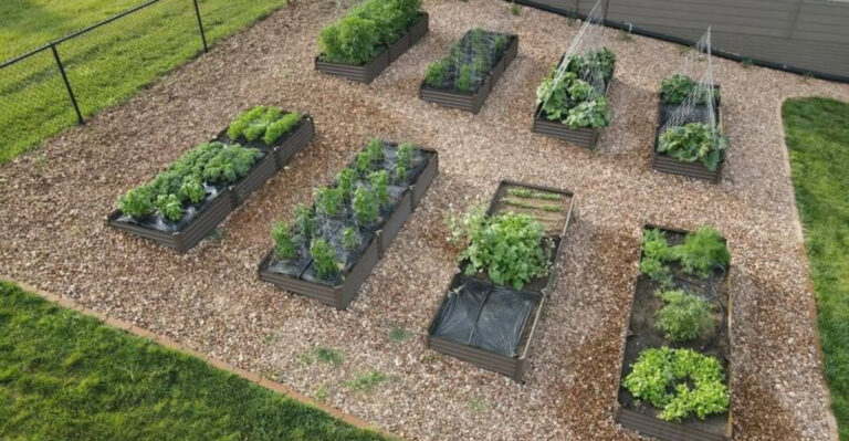 20 Unexpected Garden Materials That Look Expensive (But Cost Nothing)