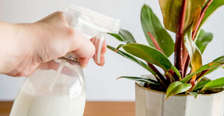 20 Weird Garden Hacks People Swear By—But Actually Work Wonders