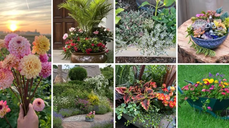 25 Container Garden Ideas Packed With Color for Any Space
