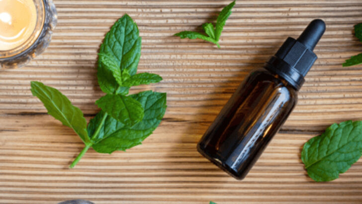 5 Natural Fixes That Fail and 11 Pest-Repelling Plants That Don’t